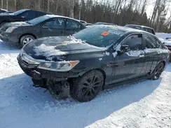 1HGCR2F52HA811789 2017 HONDA ACCORD