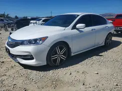 1HGCR2F53HA008716 2017 HONDA ACCORD