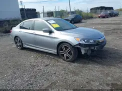 1HGCR2F53HA010367 2017 HONDA ACCORD