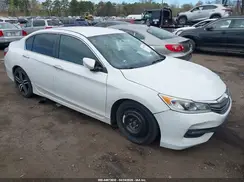 1HGCR2F53HA032904 2017 HONDA ACCORD