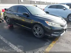 1HGCR2F53HA083416 2017 HONDA ACCORD