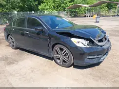 1HGCR2F53HA190269 2017 HONDA ACCORD