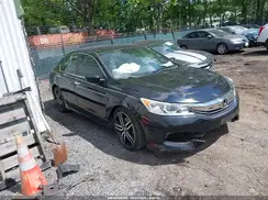 1HGCR2F53HA253449 2017 HONDA ACCORD
