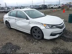 1HGCR2F53HA269313 2017 HONDA ACCORD