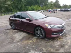 1HGCR2F53HA300480 2017 HONDA ACCORD