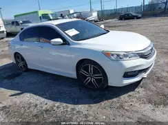 1HGCR2F53HA304903 2017 HONDA ACCORD