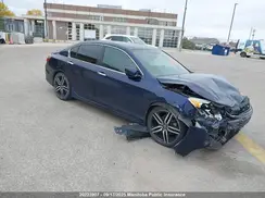 1HGCR2F53HA803443 2017 HONDA ACCORD