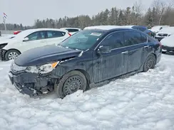 1HGCR2F53HA811493 2017 HONDA ACCORD