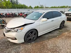 1HGCR2F53HA811705 2017 HONDA ACCORD