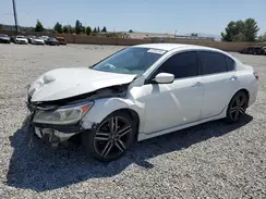 1HGCR2F54HA004481 2017 HONDA ACCORD