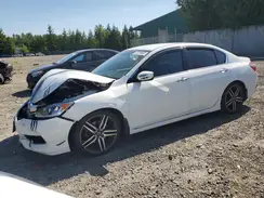 1HGCR2F54HA100529 2017 HONDA ACCORD