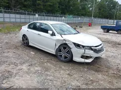 1HGCR2F54HA301749 2017 HONDA ACCORD