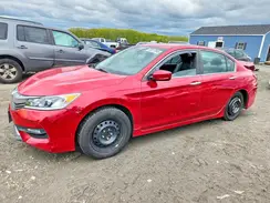 1HGCR2F55HA046514 2017 HONDA ACCORD
