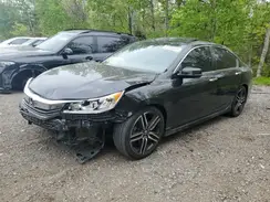 1HGCR2F55HA801984 2017 HONDA ACCORD