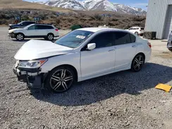 1HGCR2F56HA007852 2017 HONDA ACCORD