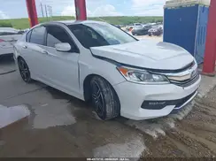 1HGCR2F56HA008693 2017 HONDA ACCORD