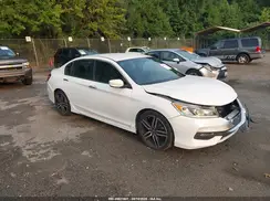 1HGCR2F56HA031519 2017 HONDA ACCORD