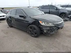 1HGCR2F56HA061202 2017 HONDA ACCORD