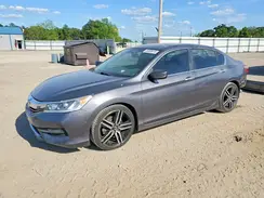 1HGCR2F56HA066481 2017 HONDA ACCORD