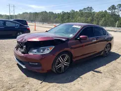 1HGCR2F56HA083667 2017 HONDA ACCORD