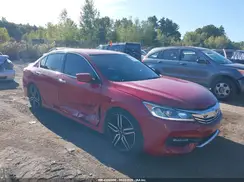 1HGCR2F56HA084057 2017 HONDA ACCORD