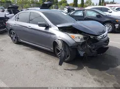 1HGCR2F56HA116182 2017 HONDA ACCORD