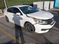 1HGCR2F56HA137484 2017 HONDA ACCORD