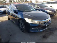 1HGCR2F56HA164328 2017 HONDA ACCORD