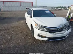 1HGCR2F56HA165480 2017 HONDA ACCORD