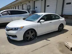 1HGCR2F56HA172445 2017 HONDA ACCORD