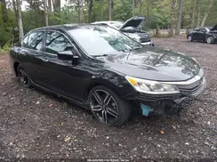 1HGCR2F56HA201376 2017 HONDA ACCORD