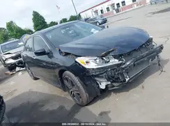 1HGCR2F56HA240176 2017 HONDA ACCORD