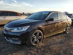 1HGCR2F56HA244227 2017 HONDA ACCORD