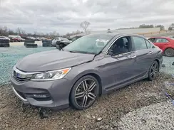 1HGCR2F56HA281407 2017 HONDA ACCORD