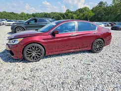1HGCR2F56HA301431 2017 HONDA ACCORD