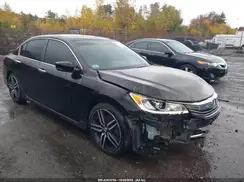 1HGCR2F56HA302515 2017 HONDA ACCORD