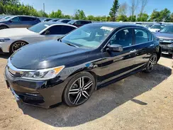 1HGCR2F56HA808491 2017 HONDA ACCORD