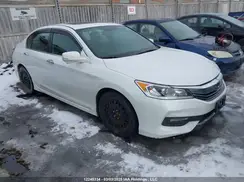 1HGCR2F56HA810743 2017 HONDA ACCORD