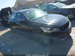 1HGCR2F57HA802151 2017 HONDA ACCORD