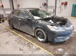 1HGCR2F58GA802979 2016 HONDA ACCORD