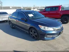 1HGCR2F58HA012213 2017 HONDA ACCORD