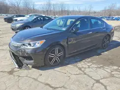 1HGCR2F58HA035216 2017 HONDA ACCORD
