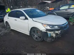 1HGCR2F58HA100484 2017 HONDA ACCORD