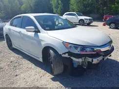 1HGCR2F58HA150219 2017 HONDA ACCORD