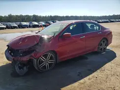 1HGCR2F58HA194494 2017 HONDA ACCORD
