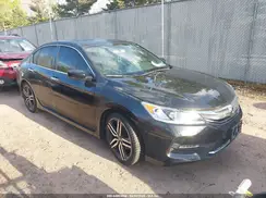 1HGCR2F58HA202125 2017 HONDA ACCORD