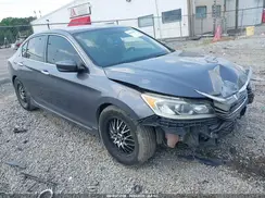 1HGCR2F58HA239160 2017 HONDA ACCORD