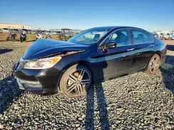 1HGCR2F59GA227291 2016 HONDA ACCORD