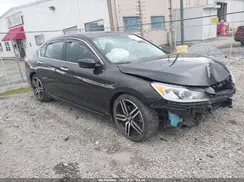 1HGCR2F59HA076518 2017 HONDA ACCORD