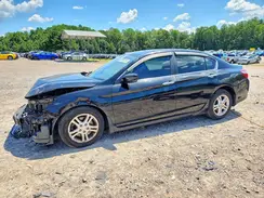 1HGCR2F59HA100784 2017 HONDA ACCORD